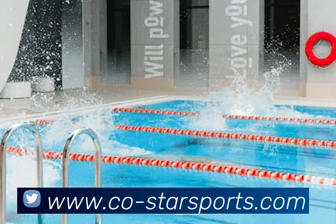 xingkong平台生态图